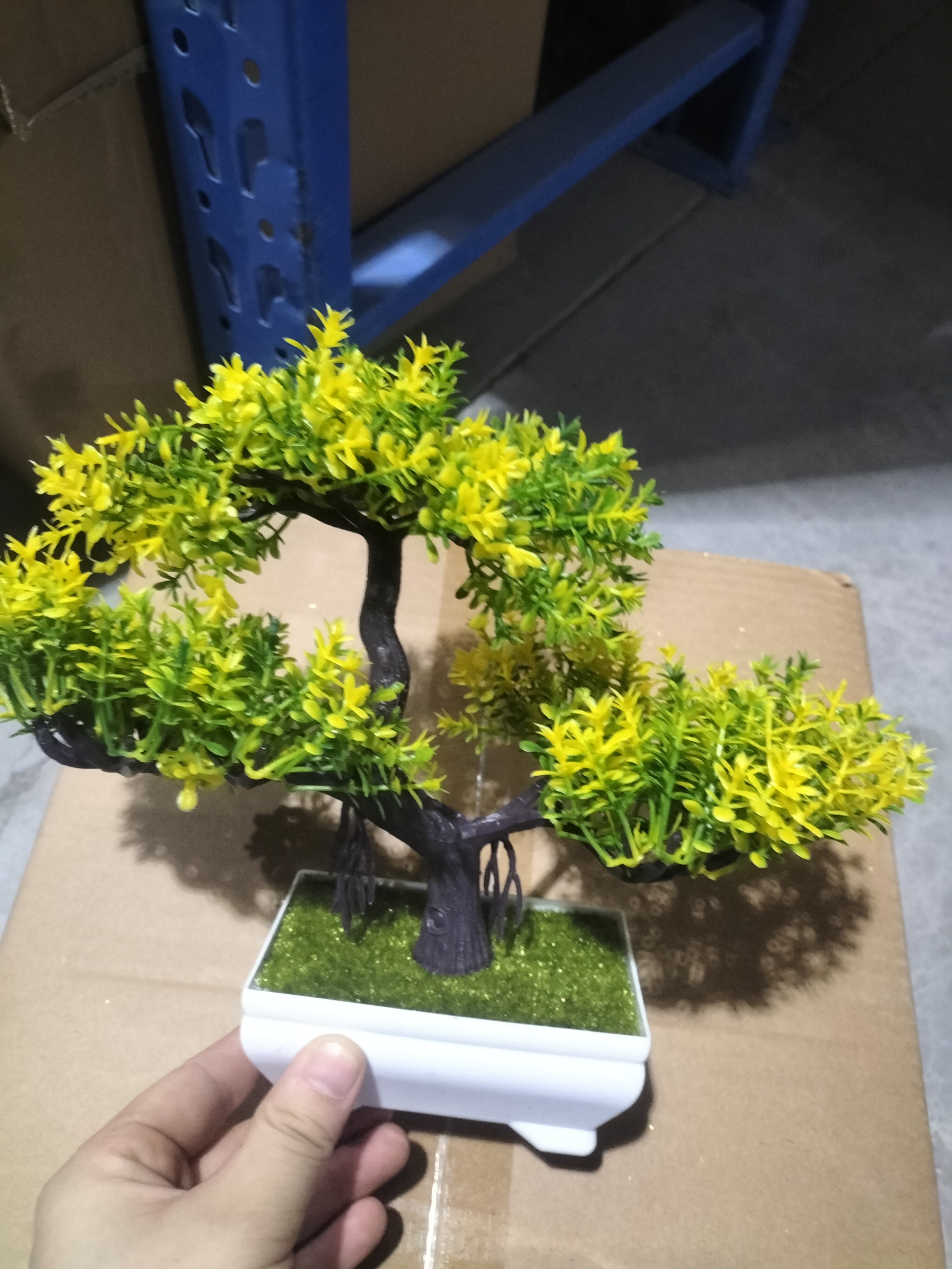 Mini Bonsai Potted Plant for a Calm, Cozy Room