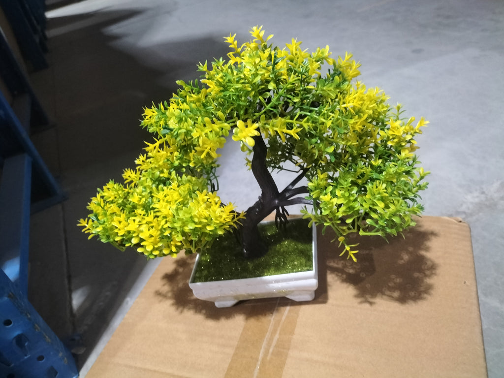 Mini Bonsai Potted Plant for a Calm, Cozy Room