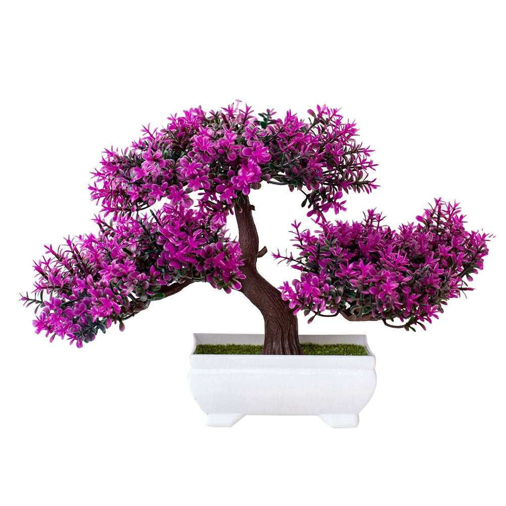 Mini Bonsai Potted Plant for a Calm, Cozy Room