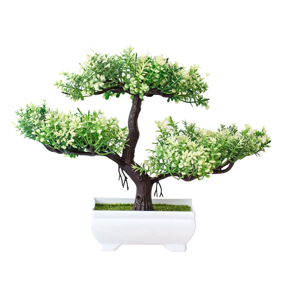 Mini Bonsai Potted Plant for a Calm, Cozy Room