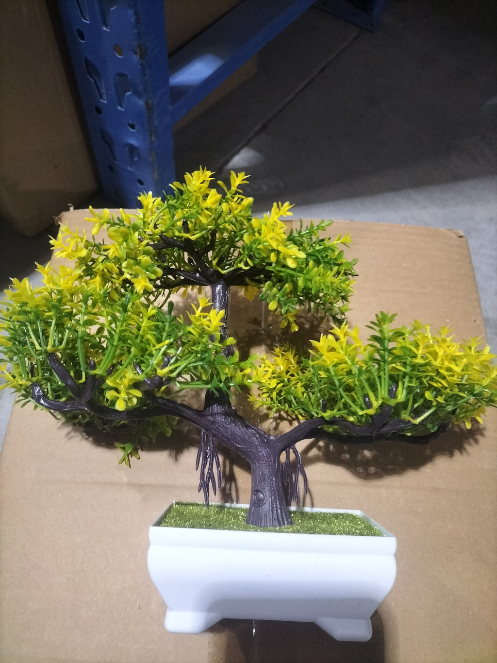 Mini Bonsai Potted Plant for a Calm, Cozy Room