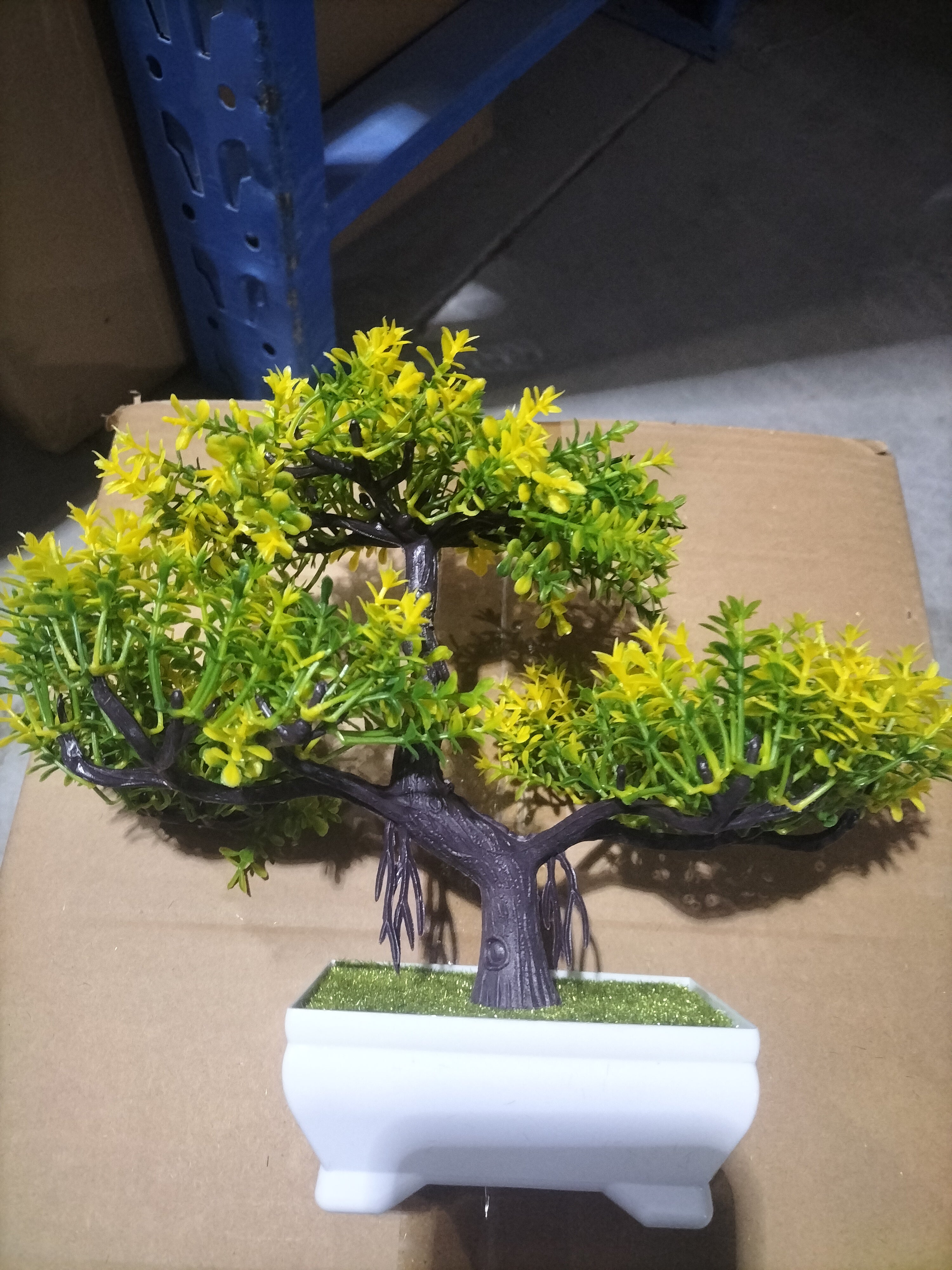 Mini Bonsai Potted Plant for a Calm, Cozy Room